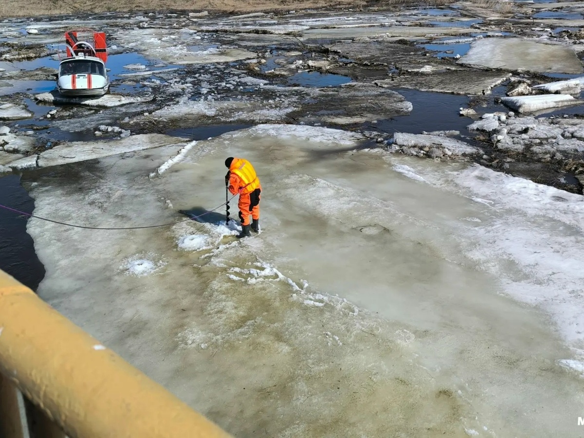    Фото: МЧС НСО