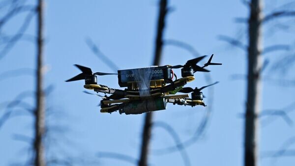    © Sputnik / Станислав Красильников