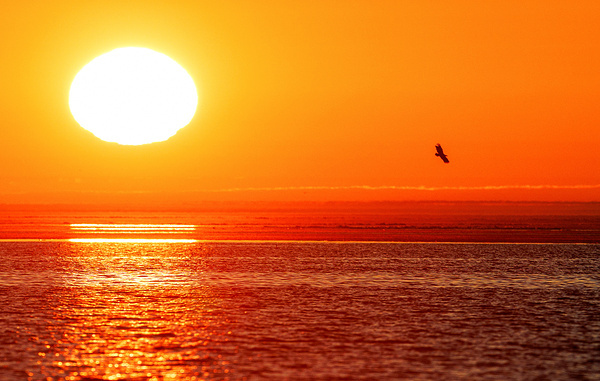 Александр Мелехов/ТАСС