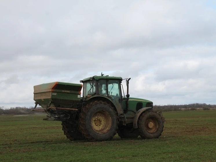     Активному росту культур способствует хорошая погода и ранняя оттепель. Фото: пресс-служба Минсельзхоза и туризма по Новгородской области