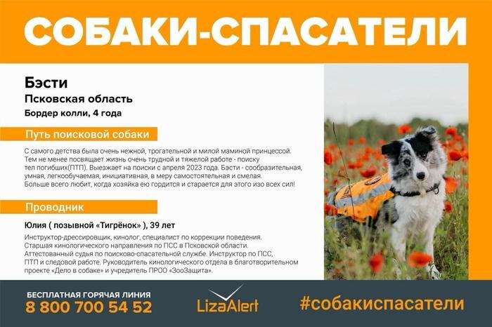 Фото © «ЛизаАлерт»