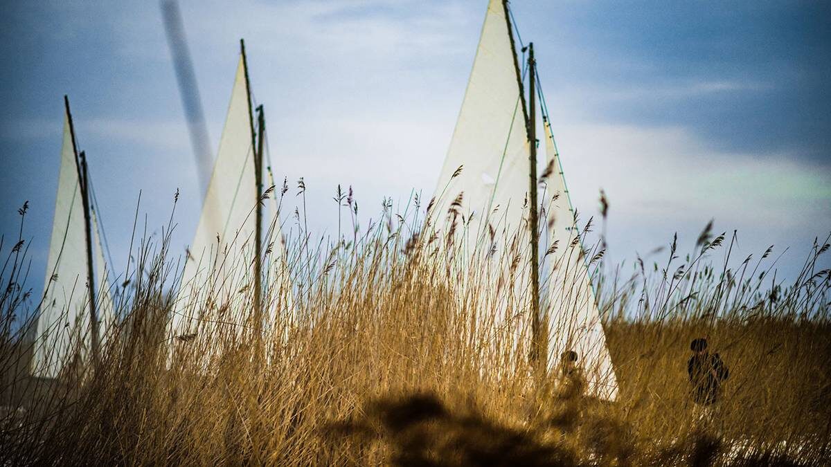    Фото: Ангелы Ладоги, 2026 год