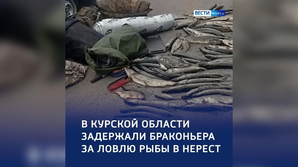    В Курской области задержали браконьера, который ловил рыбу во время нереста
