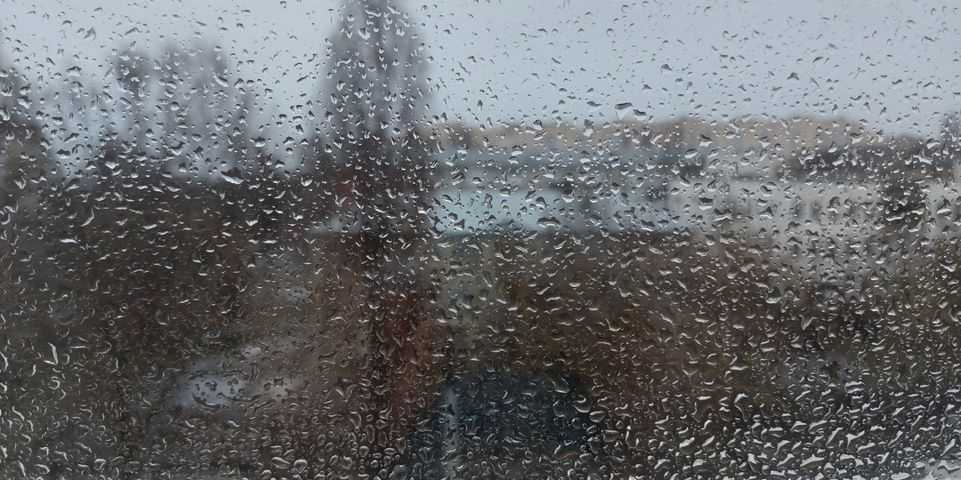 Любимый писатель, но эта книга — мимо