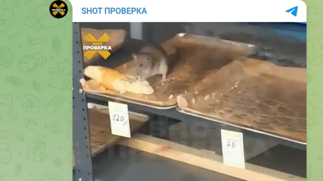    Фото: тг-канал SHOT.