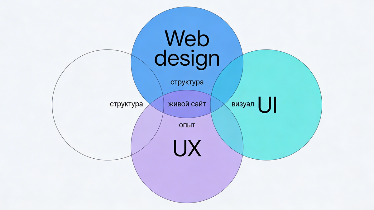 роли Web / UX / UI (три круга)