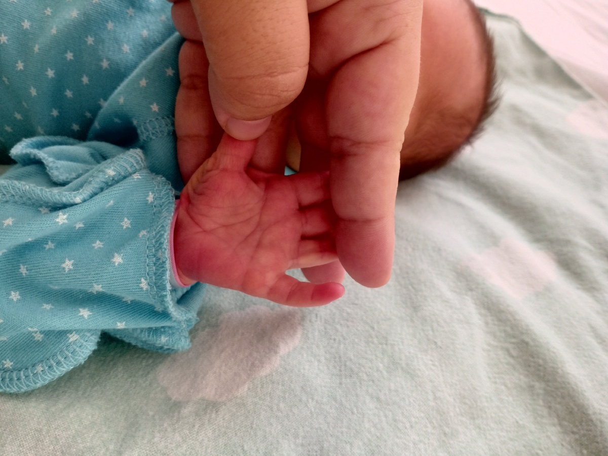 Фото с моего канала. 