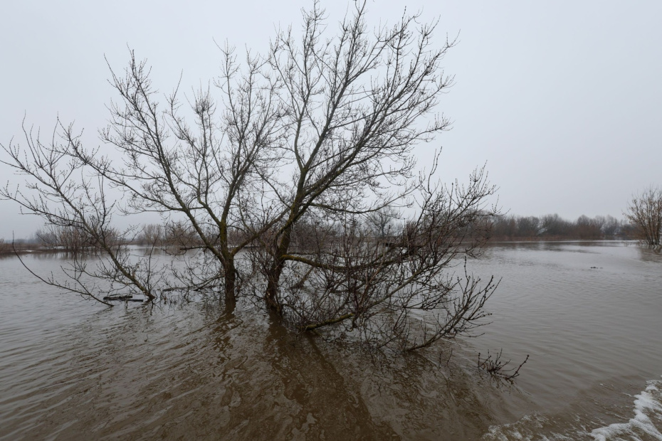    Алексей Белкин/NEWS.ru