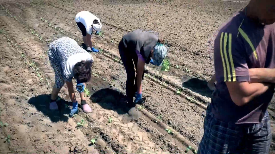 ФОТО: Кадр программы "Самые шокирующие гипотезы", РЕН ТВ