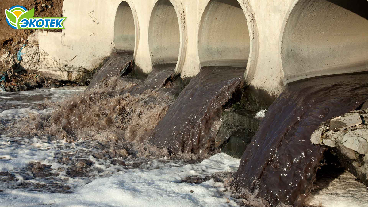Самые опасные отходы для канализации: как не загубить систему? Экотек