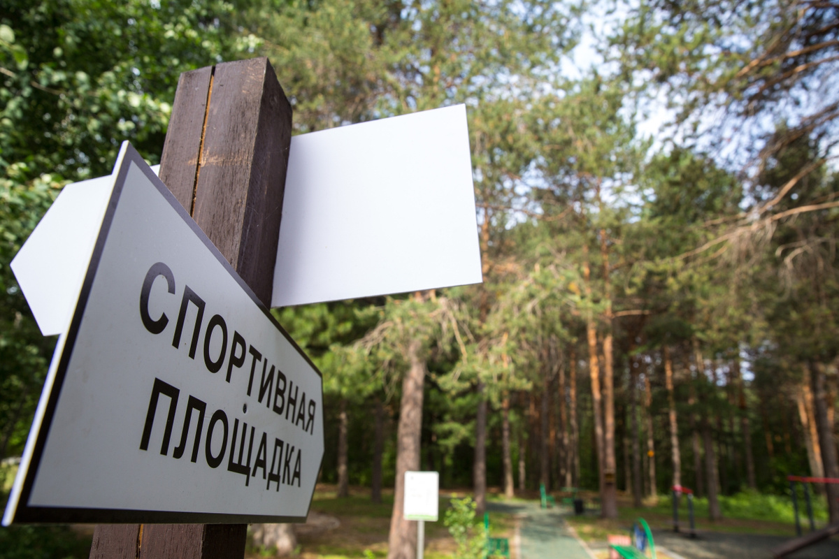    Новая жизнь парковых зон: в Сургуте стартует масштабное обновление детских и спортивных площадок