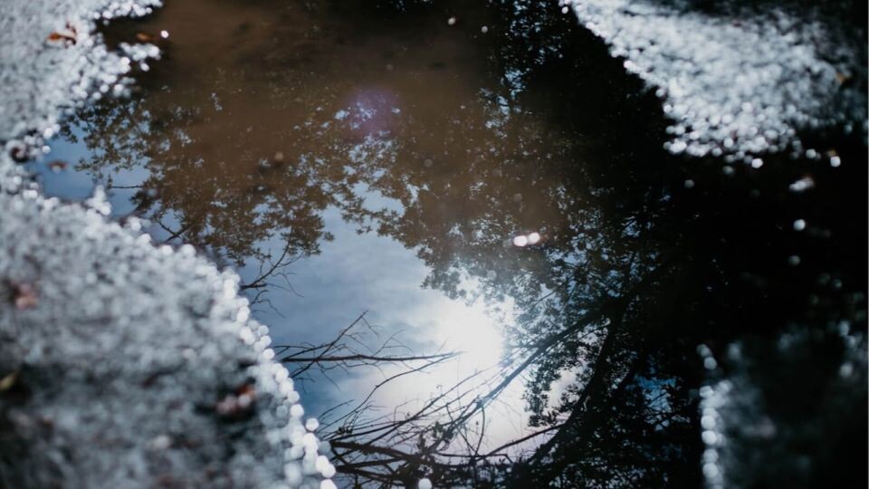    Погода. Весна. . Источник: Анна Меньшикова