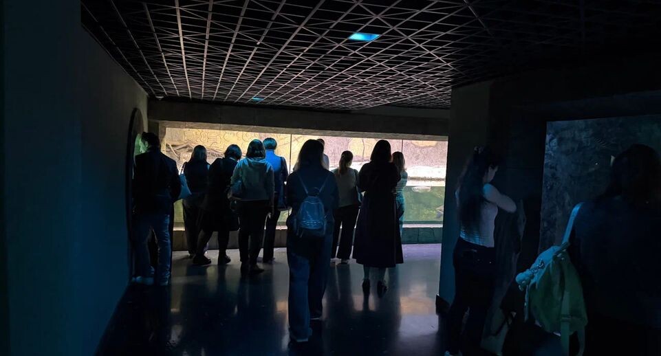    Министерство образования Московской области