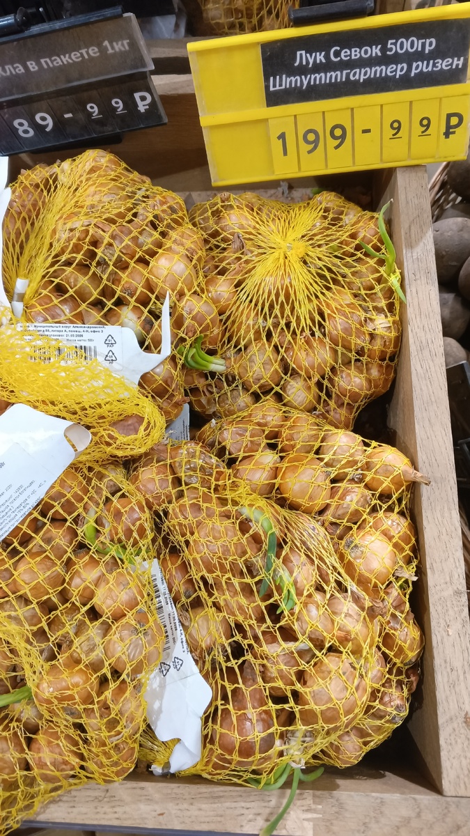 фото автора: севок в сетке 