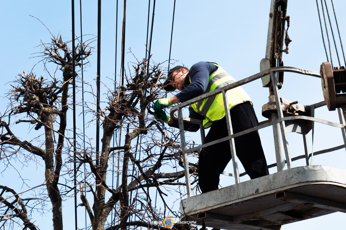    Фото: Администрация Чебоксар, источник: gcheb.cap.ru