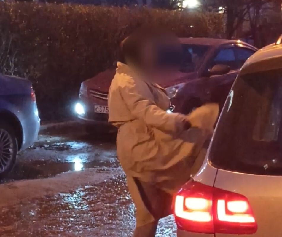 Фото: кадр из видео