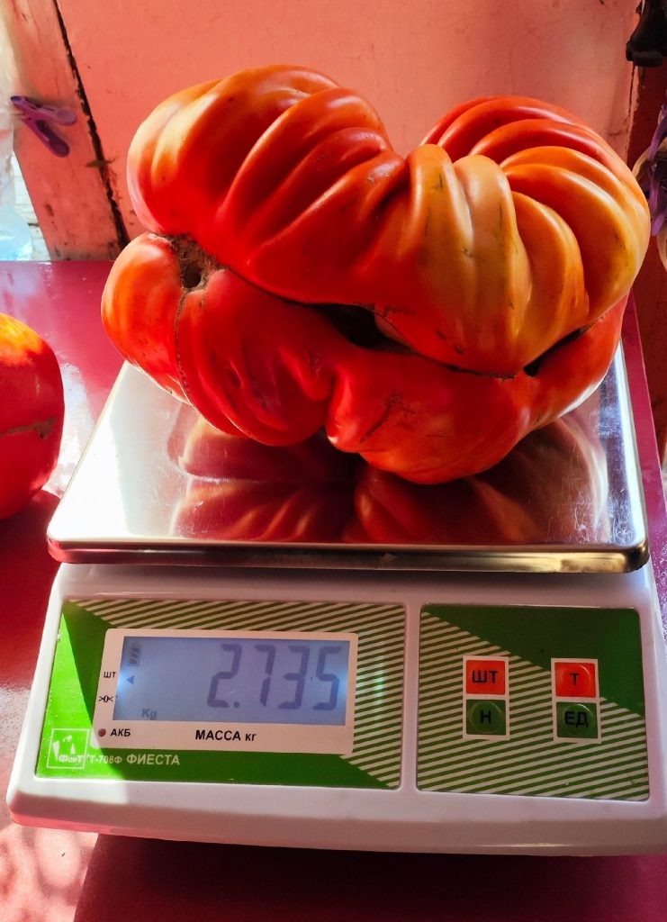 Фото: Борис Сонин