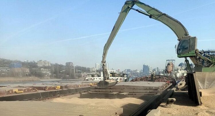    Фото: ФГБУ ЦОК АПК