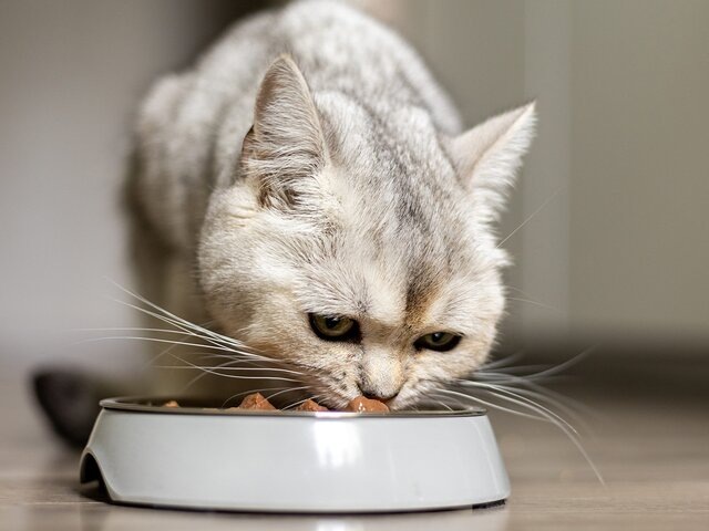    Фото: 123RF.com/irinafotolita