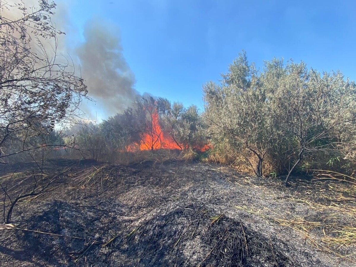    Фото: ТРК Таврия