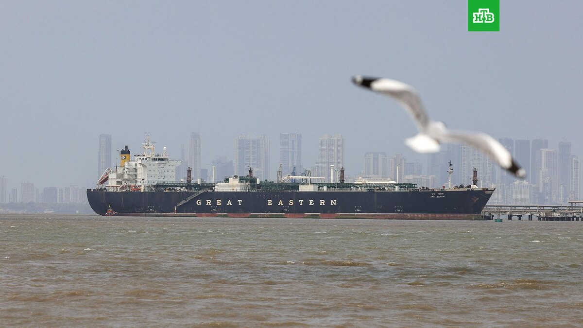    Фото: DIVYAKANT SOLANKI / EPA / TASS