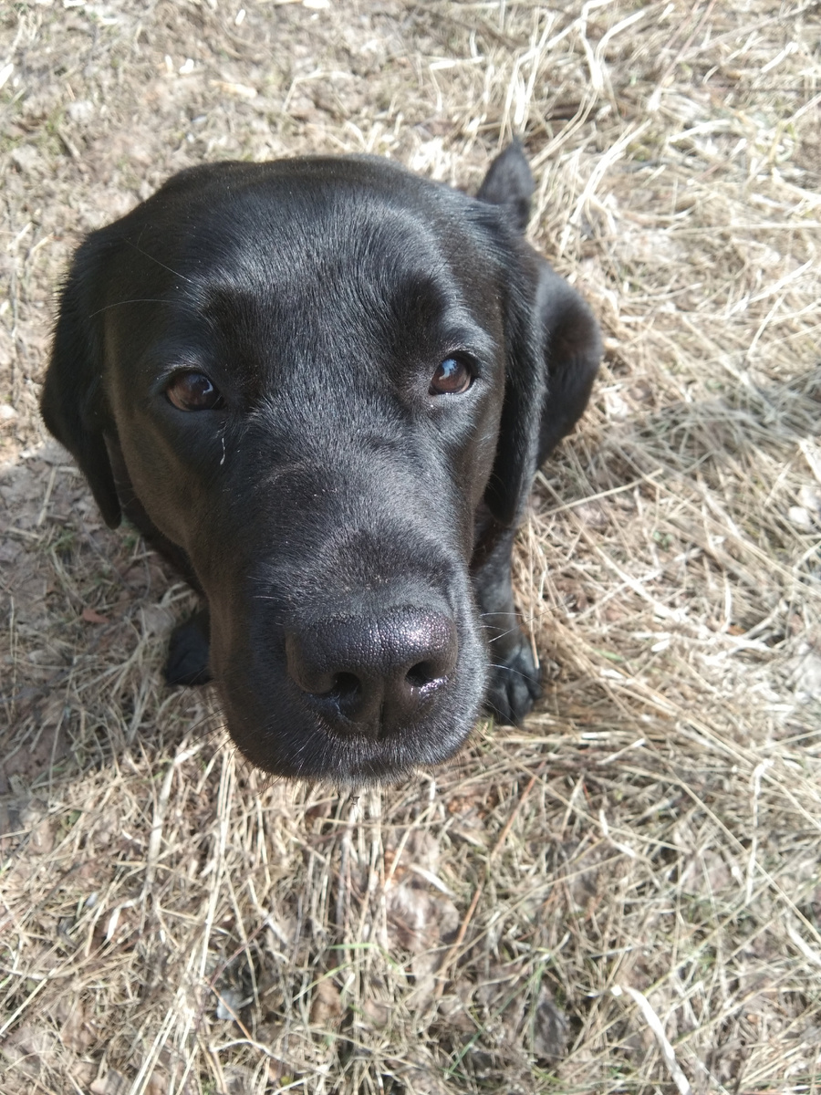 Фото автора. 