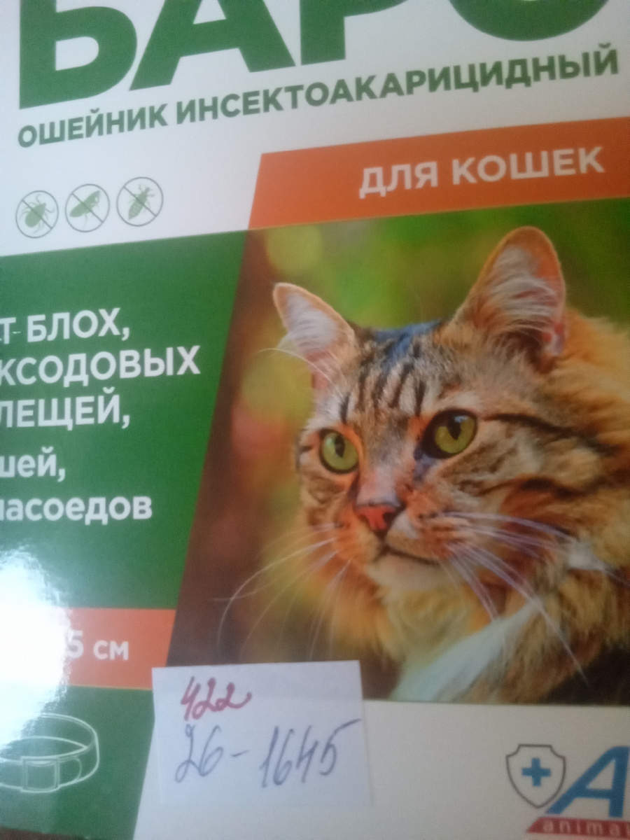 Фото автора. 