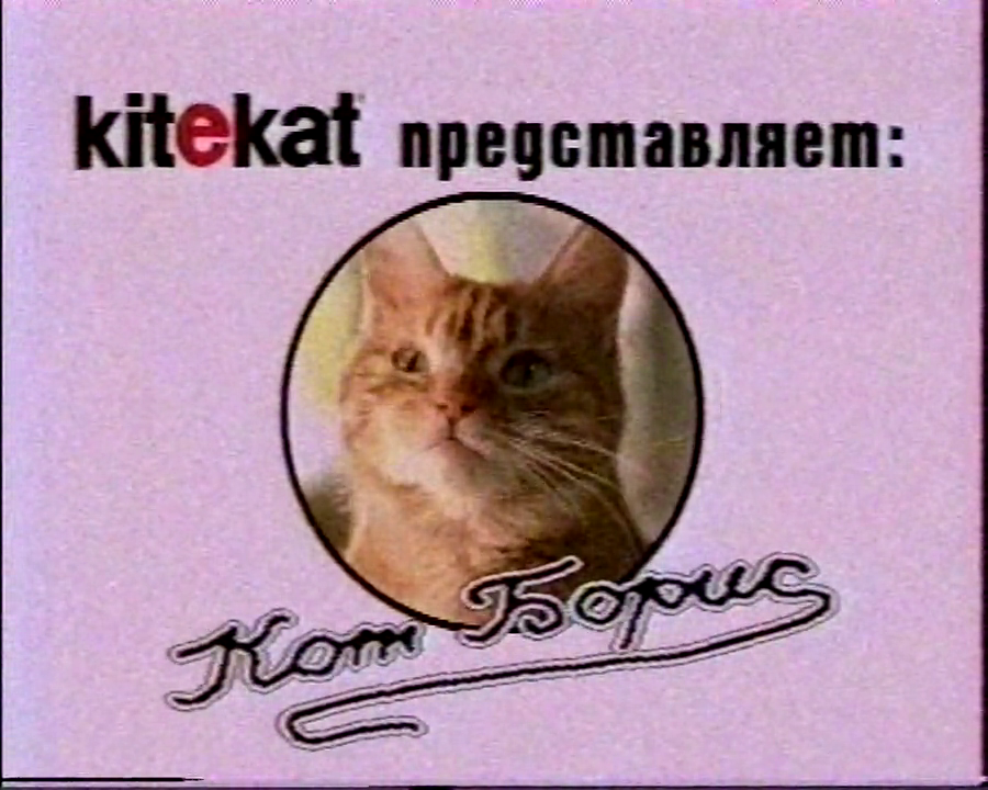 Первый кот Борис. Источник