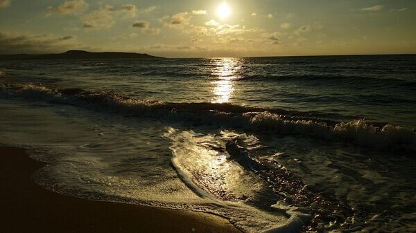    © Наталья Дремова