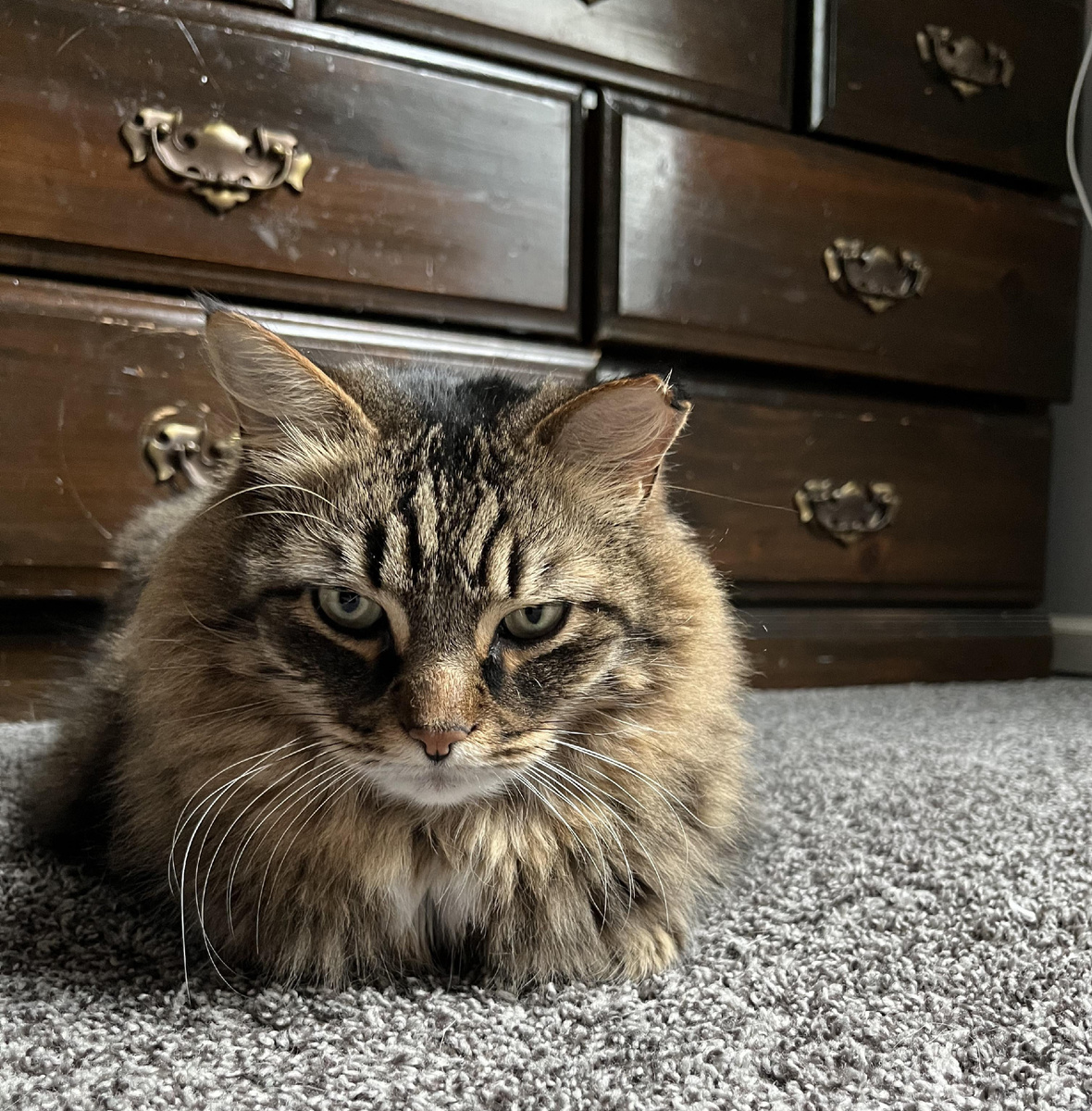 Фото из Интернета. 