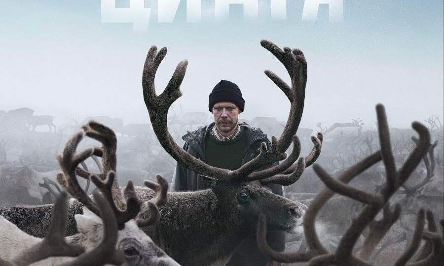 Вокруг одни олени