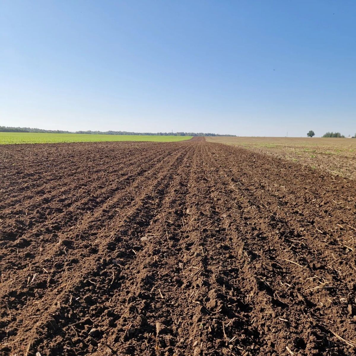 Поле готовое к посеву