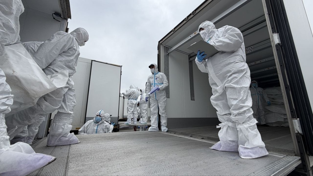    Соцсети / @vr_medinskiy