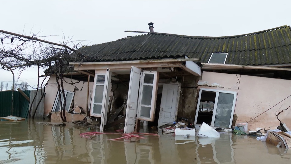    Кадр телеканала "Россия"