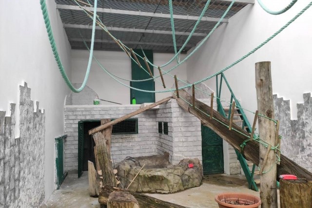   Фото: Калининградский зоопарк