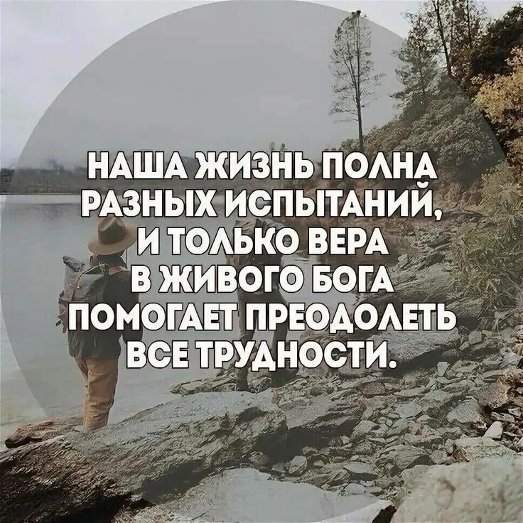 Со свободного доступа.