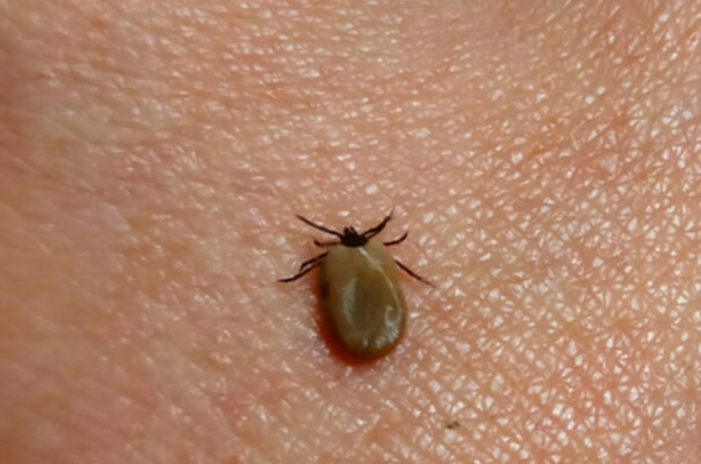    Фото: Елена Костюченкова