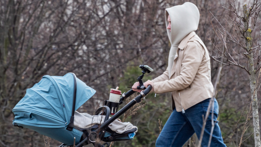    Фото: ИЗВЕСТИЯ/Константин Кокошкин