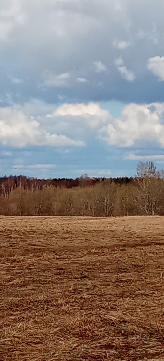 Открылись весенние просторы! Поплыли по небу кучевые облака!