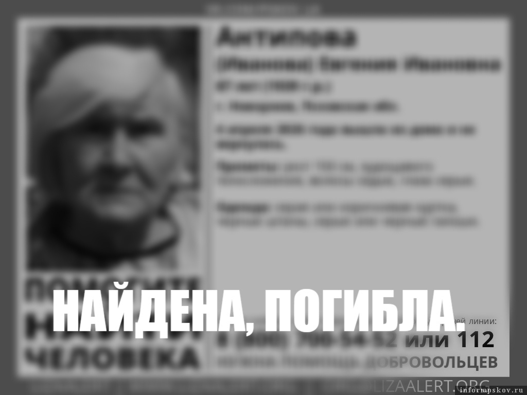 Изображение: поисково-спасательный отряд «ЛизаАлерт» Псковской области