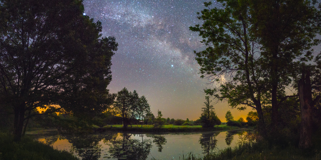 Соседская тяжба разрешилась неожиданно