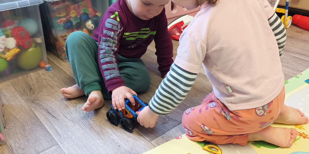 Как Амелия гуся пятнистым сделала