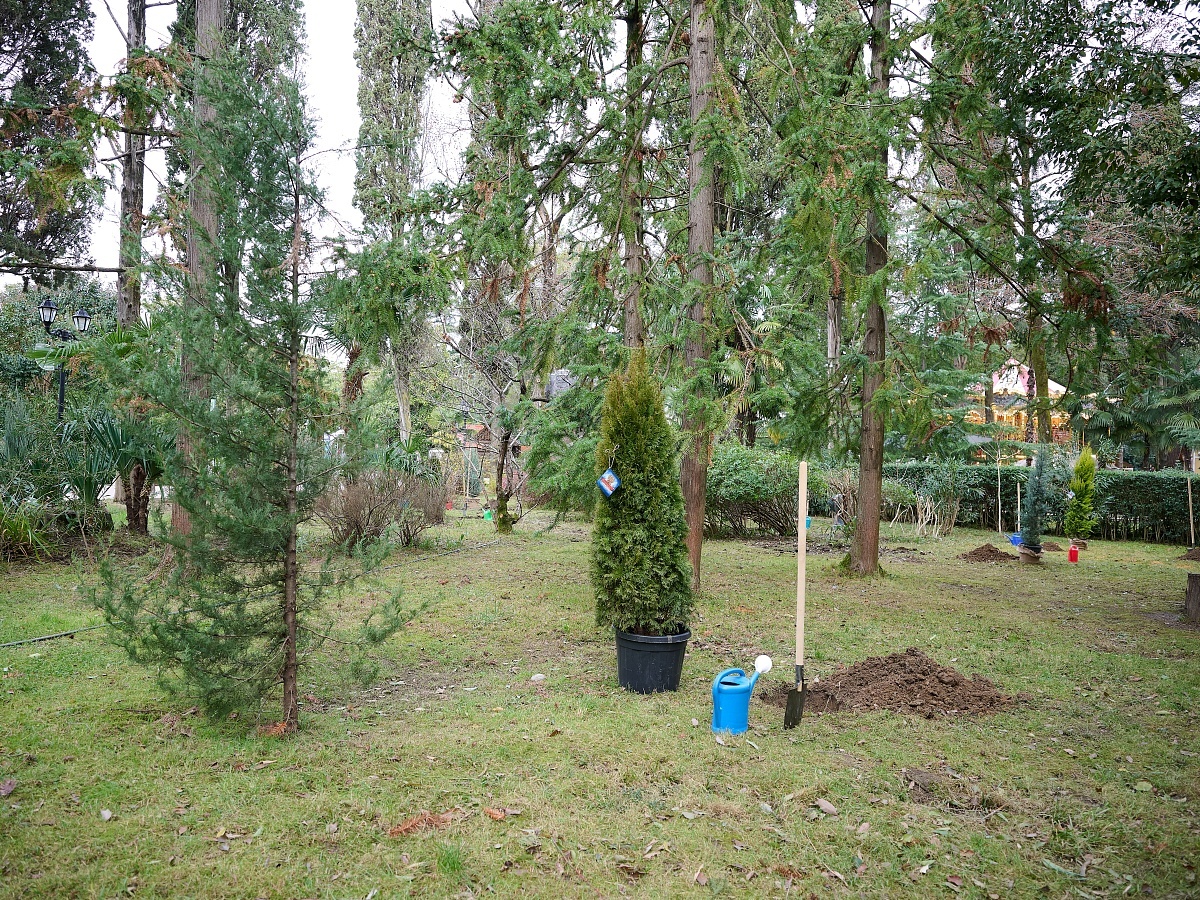 фото: sochi.ru  📷
