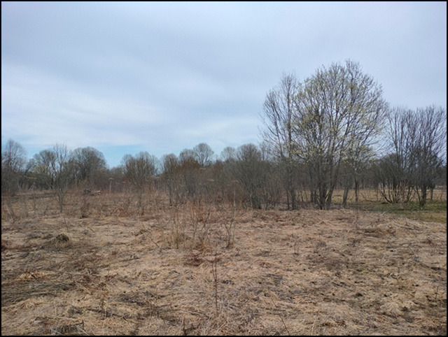 Исполнение предписания не засчитано Россельхознадзором: устранена часть нарушений