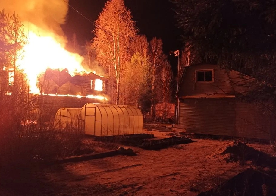 Фото моих со