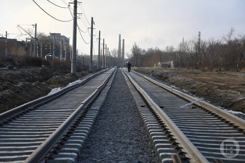    Фото: Дмитрий Рогулин/"Городские вести"
