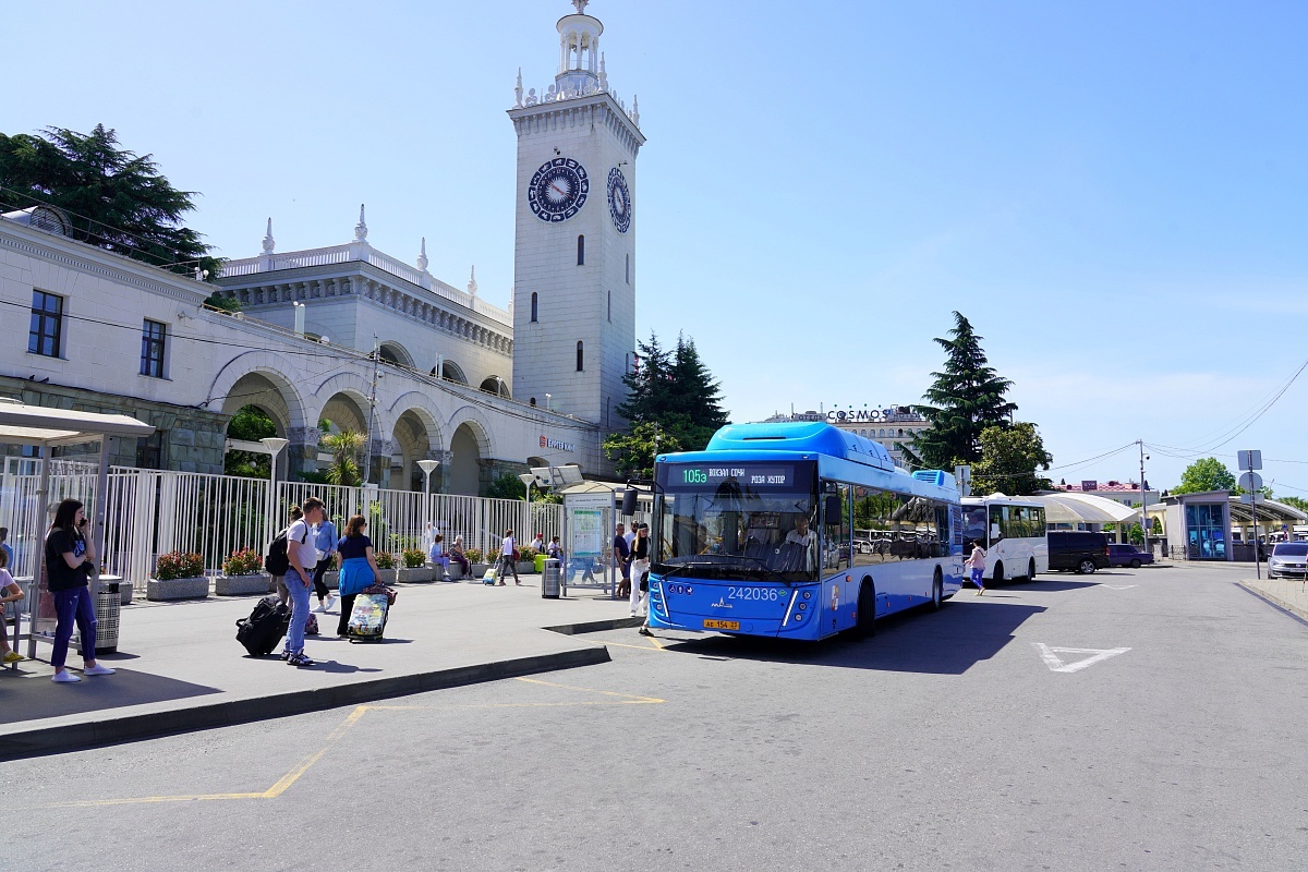 Фото: пресс-служба администрации города Сочи  📷
