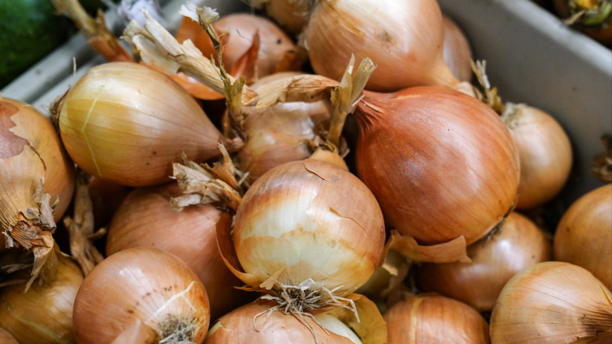    Фото: ИЗВЕСТИЯ/Анна Селина