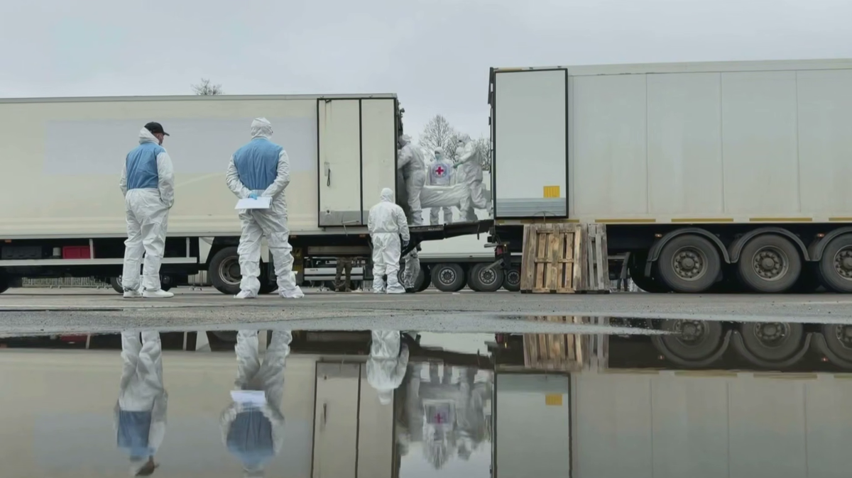 © кадр из видео