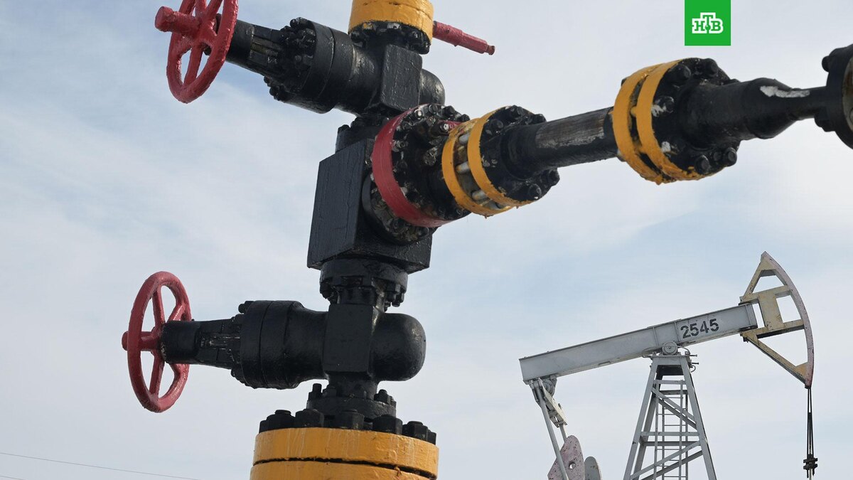    Фото: РИА Новости © 2026, Максим Богодвид